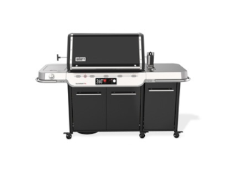 Weber Summit E FS38X