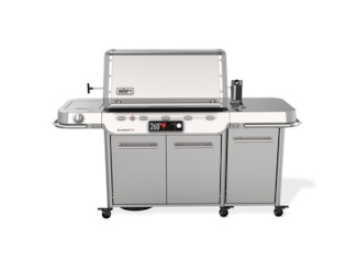 Weber Summit S FS38X